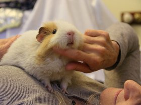 2020-01-13-3673 Cherie and Alison.jpg